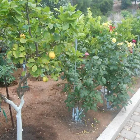 Luxurius Independent 3Rd Floor In Villa Villa *