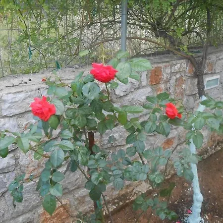 Luxurius Independent 3Rd Floor In Villa Villa Pefkali